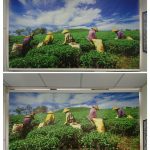 Digital Printing Services In Singapore